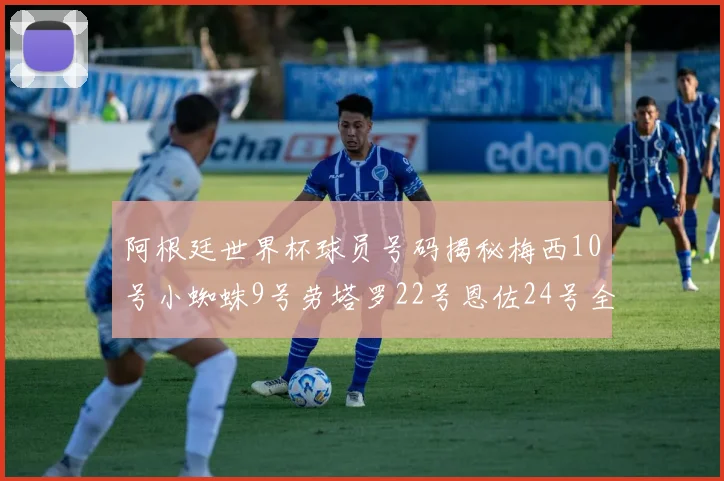阿根廷世界杯球员号码揭秘梅西10号小蜘蛛9号劳塔罗22号恩佐24号全解析