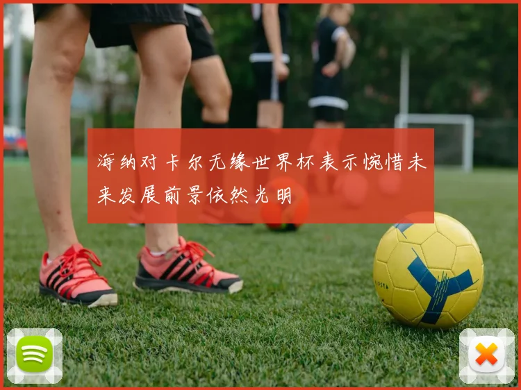 海纳对卡尔无缘世界杯表示惋惜未来发展前景依然光明